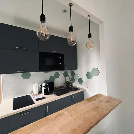 Apartman Saint Nicaise - Centre Historique De *