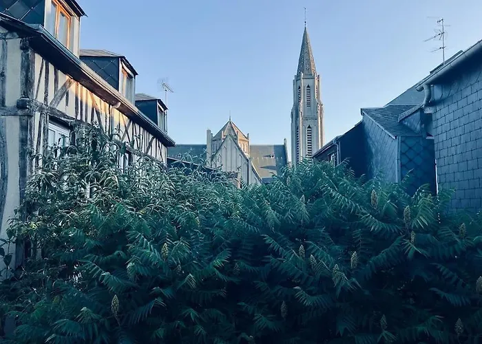Appartement Saint Nicaise - Centre Historique De *